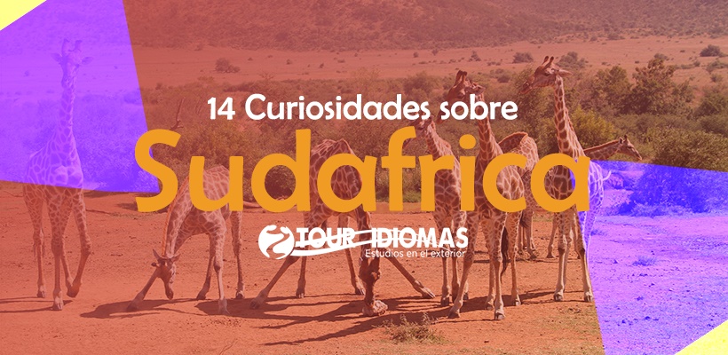 12 Curiosidades Sobre Sudáfrica Tour Idiomas